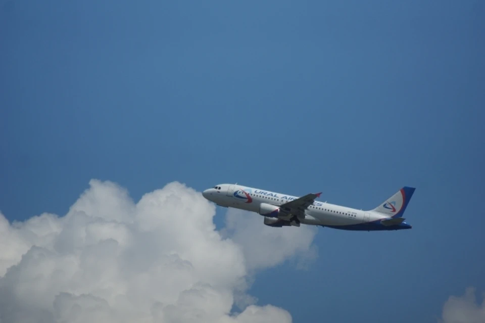 Доставлять пассажиров будут на самолете A320neo