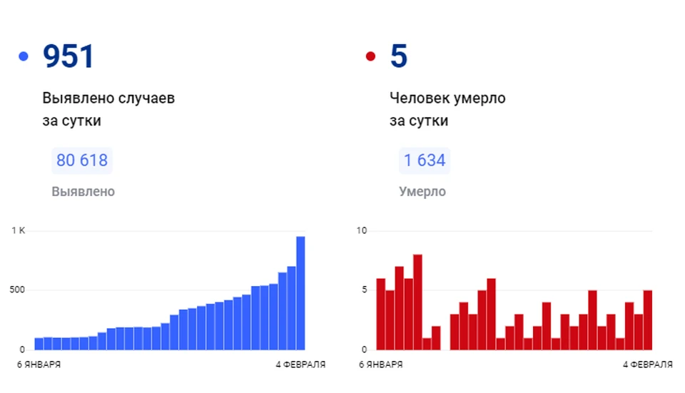 Фото: сайт "стопкоронавирус.рф"