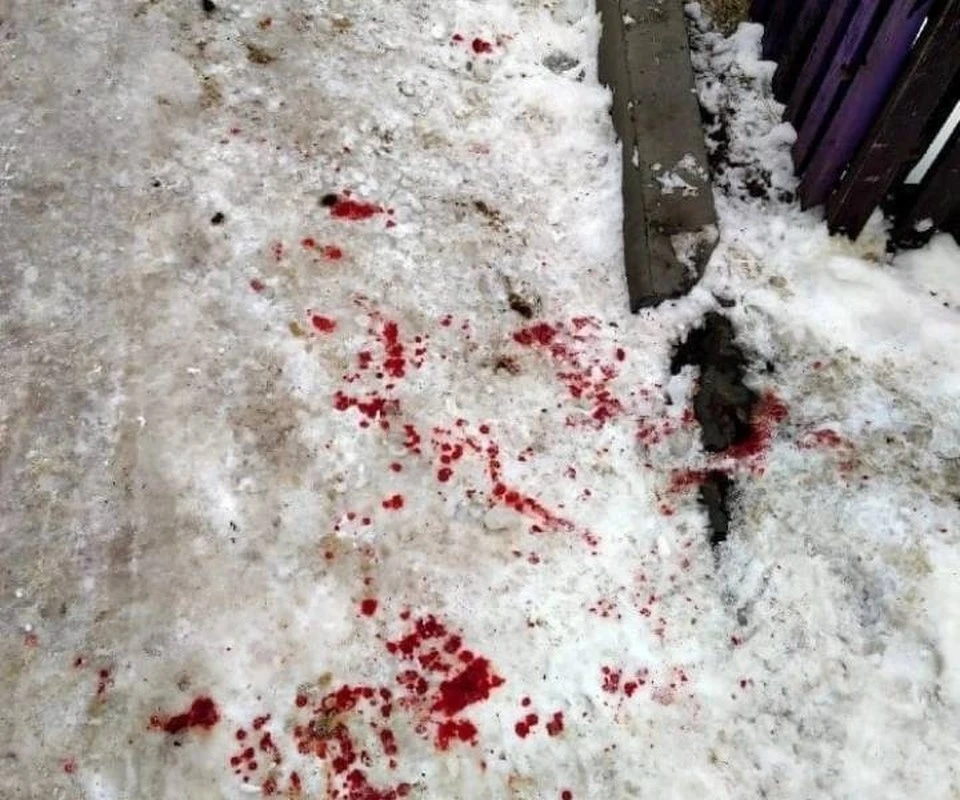 Фото: Анны Стародубовой.