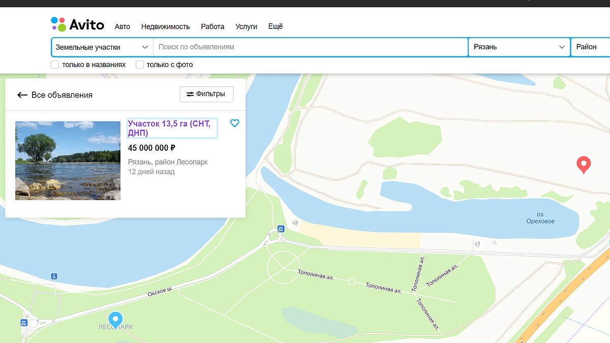 В Рязани за 45 млн рублей выставили на продажу участок земли рядом с  Орешком - KP.RU