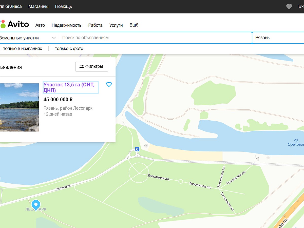 В Рязани за 45 млн рублей выставили на продажу участок земли рядом с  Орешком - KP.RU