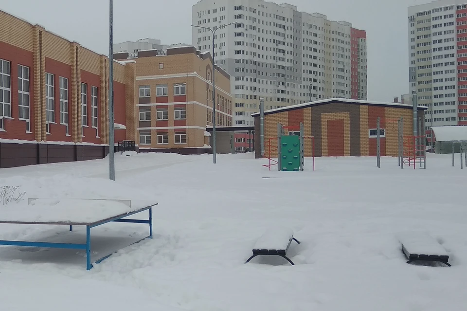 В Липецке на территориях семи школ установят комплексные спортплощадки