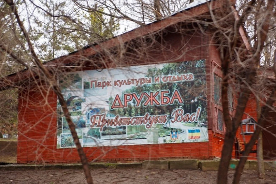 Во время реконструкции могут убрать 140 деревьев. Фото: страница в Instagram депутата Павла Кузьмина
