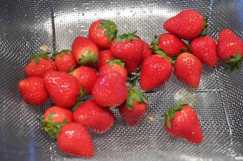 В Иркутской области предпринимательницу осудят за вранье о высадке ягод