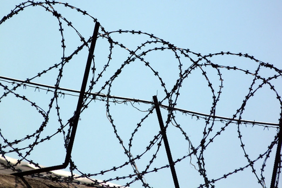 Житель Мегиона приговорен к 6 годам тюрьмы за финансирование терроризма