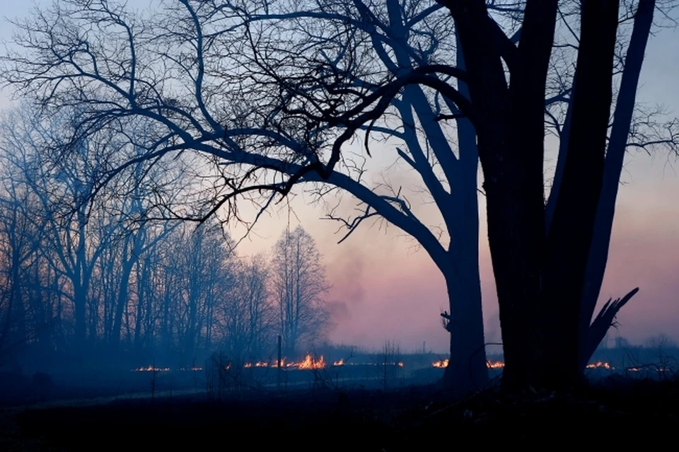 В Приморье уже определили даты пожароопасного сезона. Из архива КП