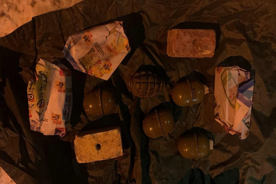 Среди взрывных устройств были и предметы похожие на гранаты. Фото: МВД по НСО