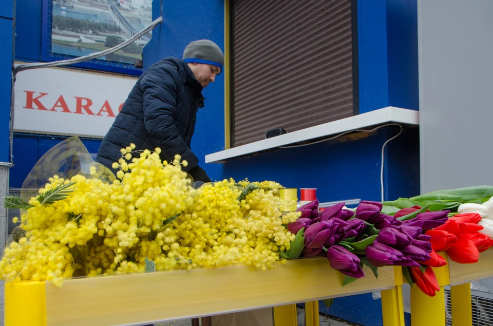 Совсем без цветов мы не останемся - в Волгоградской области тоже выращивают тюльпаны.