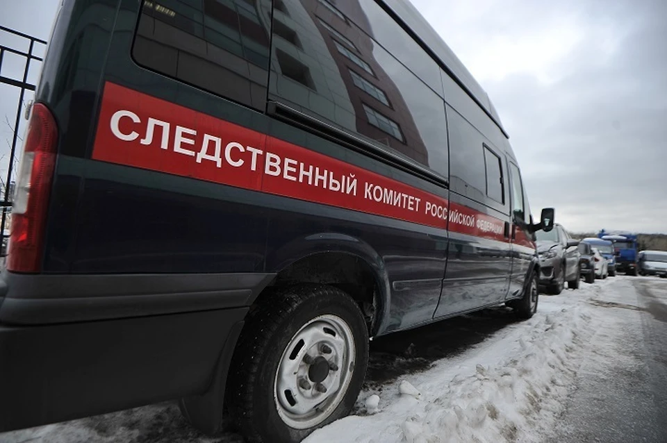 СКР после проверки возбудил уголовное дело