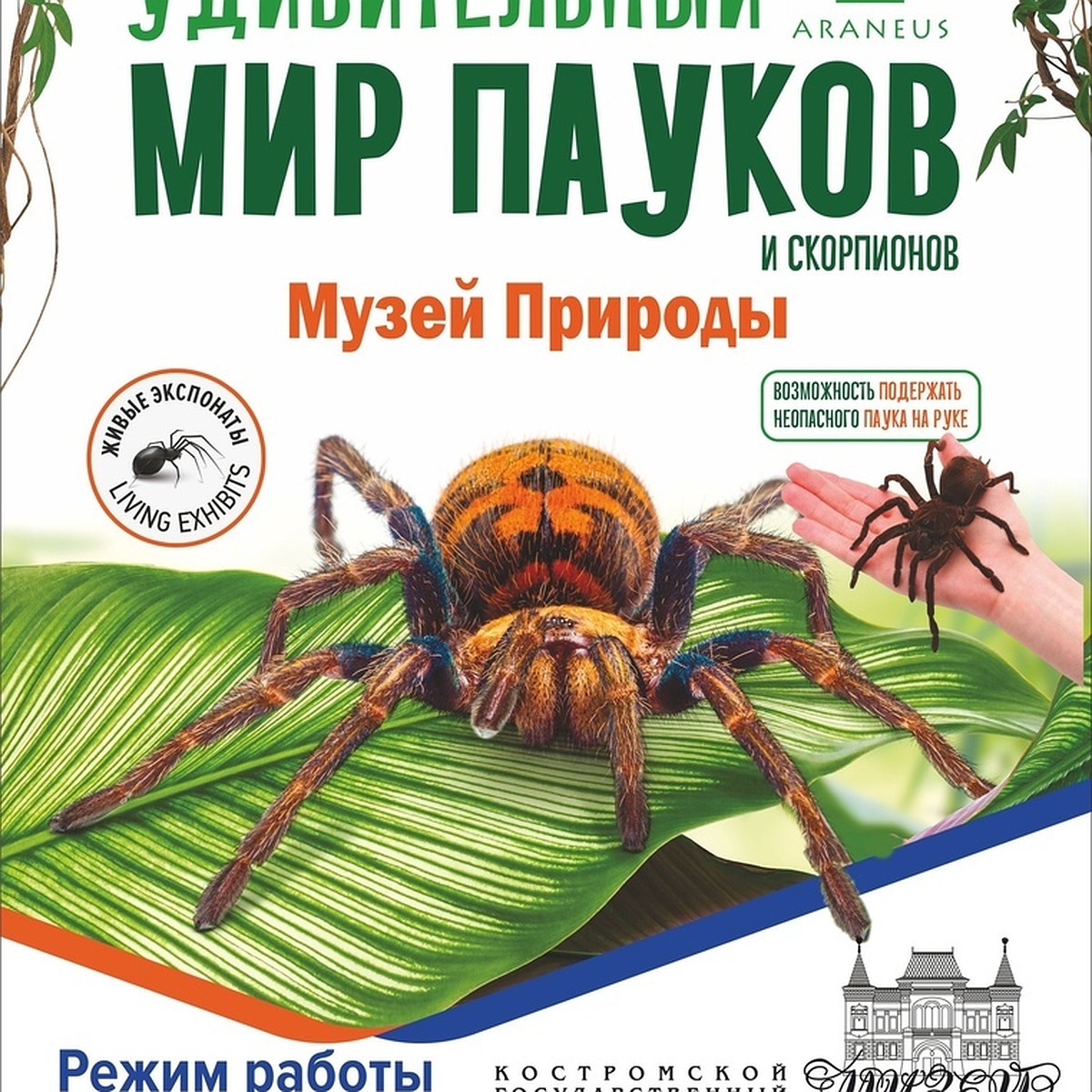 костромской музей природы