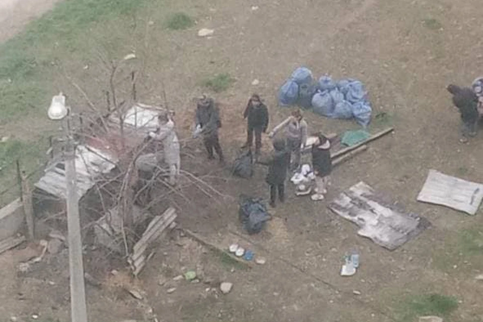 На месте сгоревших собачьих будок в Краснодаре строят новые