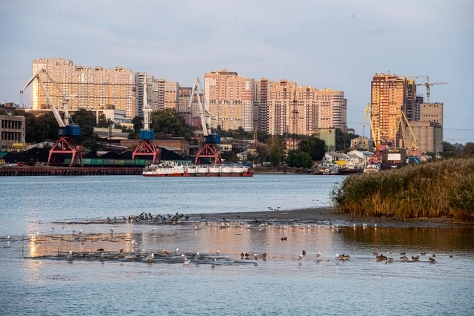 Дон должен остаться полноводным