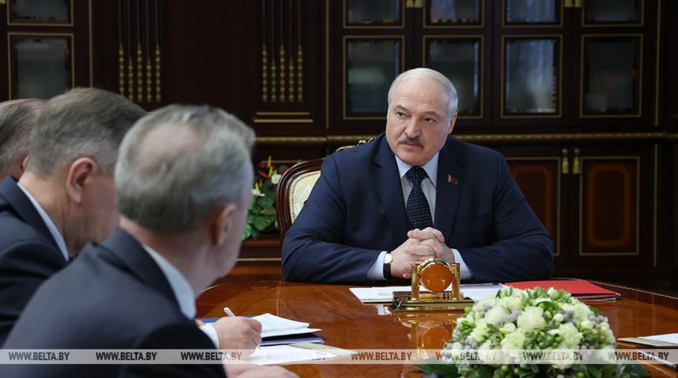 Александр Лукашенко принимает с докладом чиновников, ответственных за развитие лесного хозяйства. Фото: БелТА.