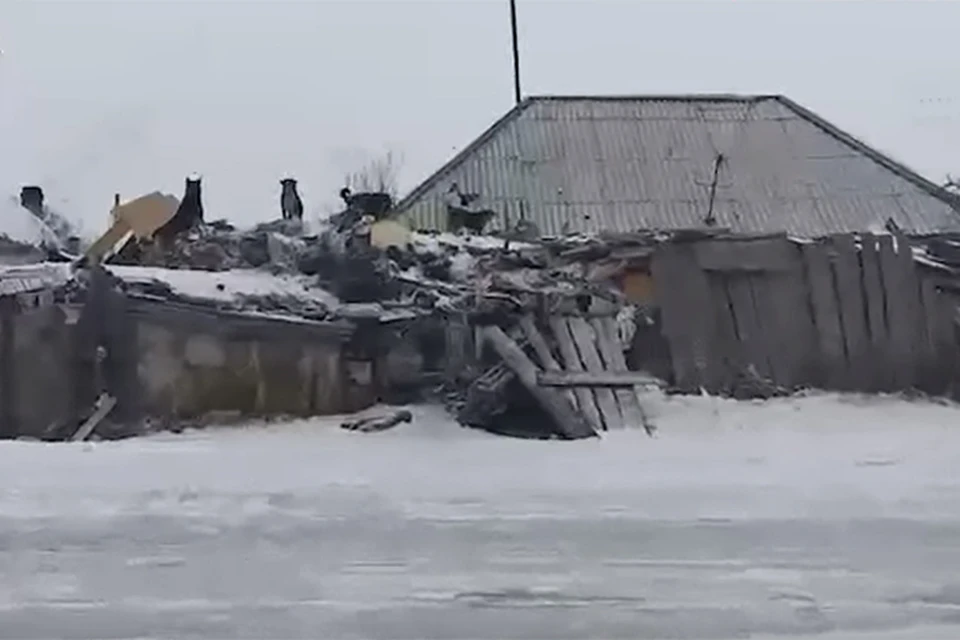 Гора мусора во дворе дома пенсионера из Рубцовска. Скриншот видео Mash Siberia