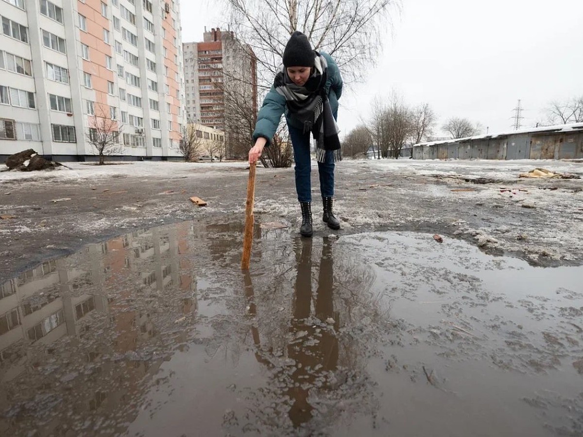 Жителям Петербурга объяснили появление грязи на улицах города - KP.RU