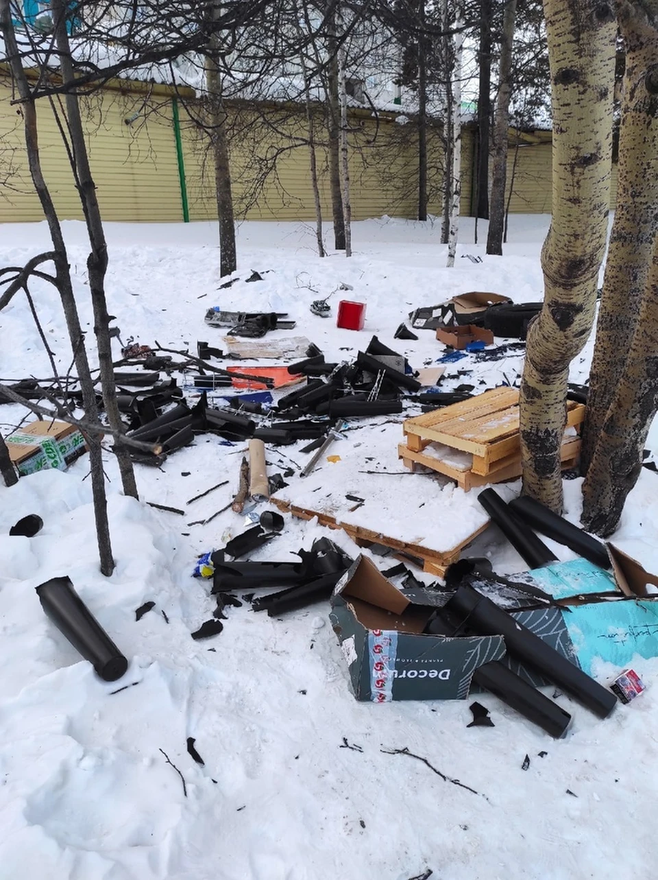 Фото: паблик "Злой Ноябрянин"