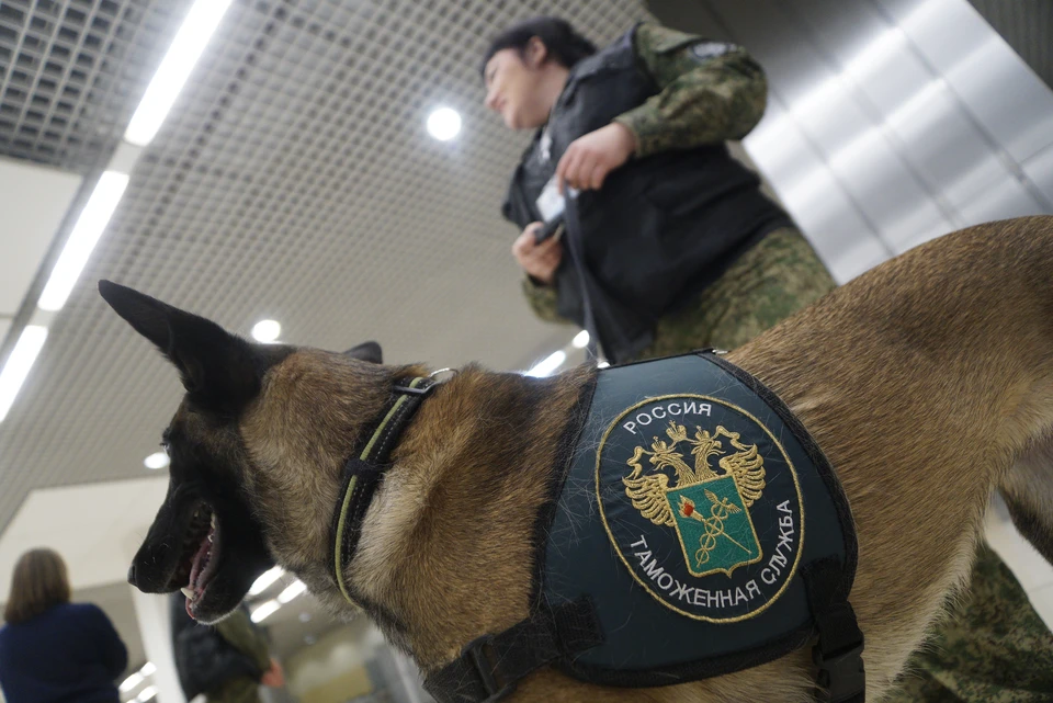 Предпринимателем ограничили вывоз ряда товаров
