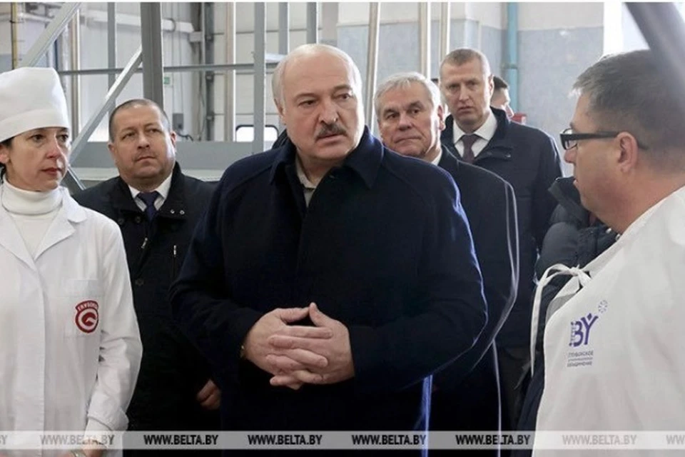 Лукашенко сказал, на чем есть шанс поднять сельское хозяйство. Фото: БелТА