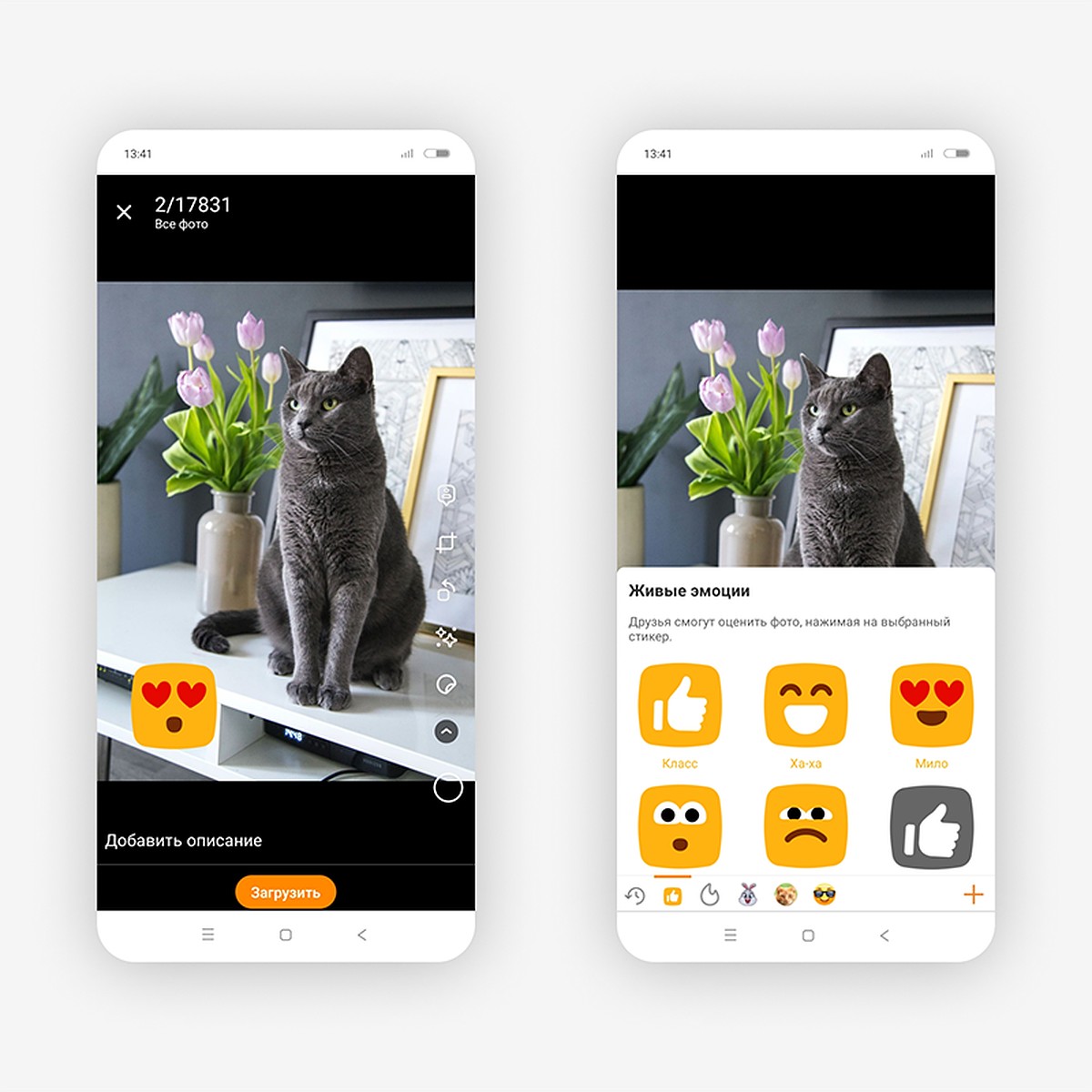 ОК запустили «живые» эмоции для реакций на фотографии и зафиксировали рост  загрузок фото - KP.RU