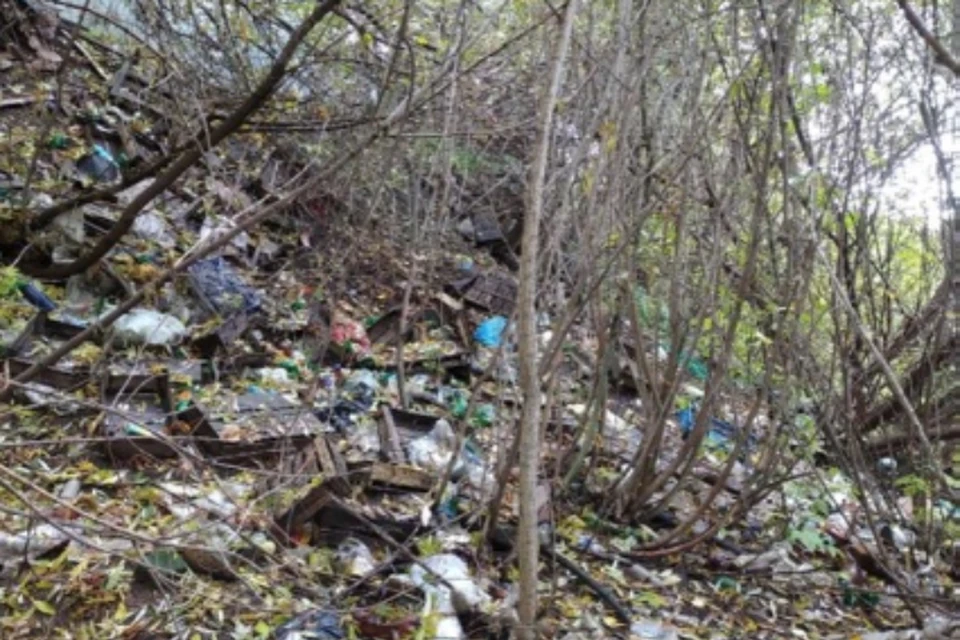 Свалка расположена на берегу реки Засора в Малмыже. Фото: vk.com/priroda_43