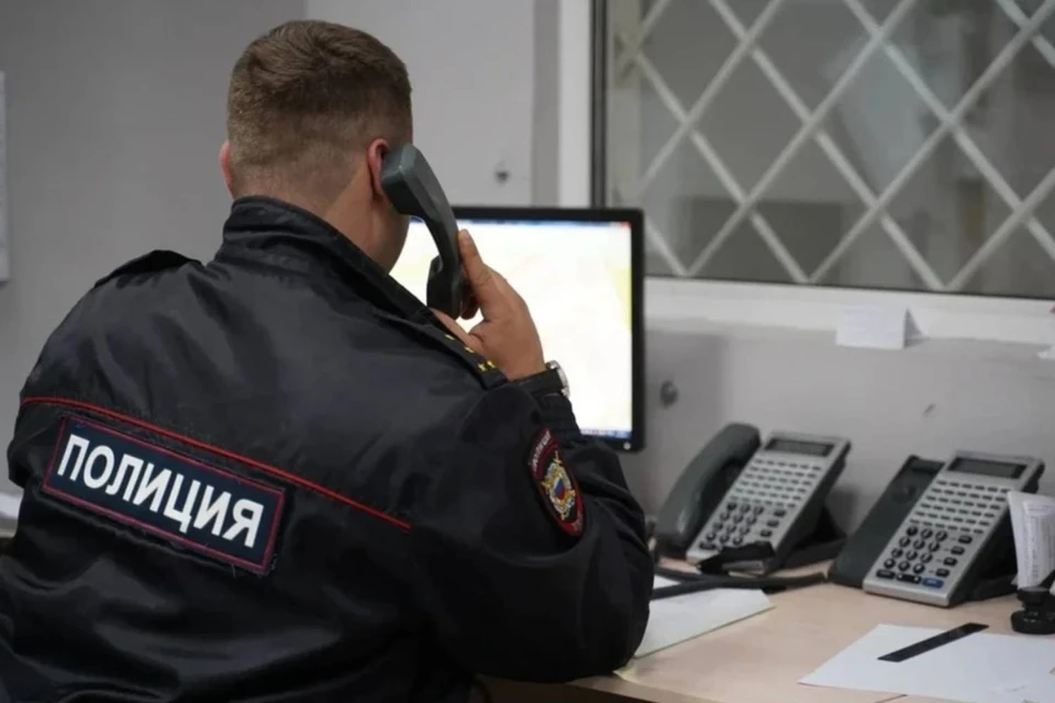 Полиция устанавливает личности злоумышленников и ведёт работу по их задержанию.