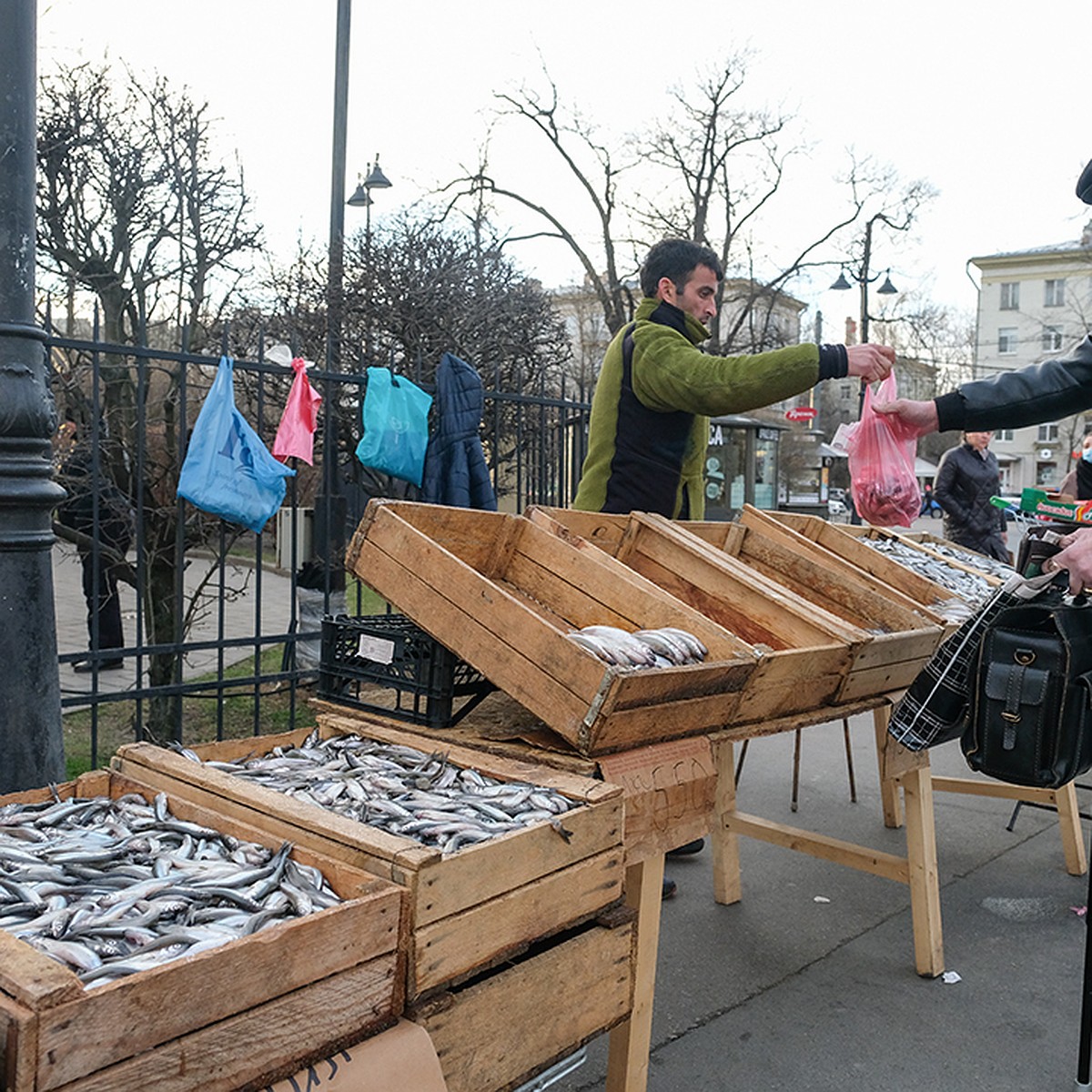 Рыбаки посоветовали не покупать корюшку в Петербурге до 15 апреля - KP.RU