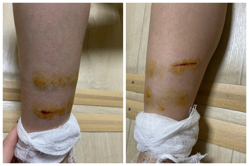 Фото: Оксана Дмитриева, паблик "Лабытнанги Info".