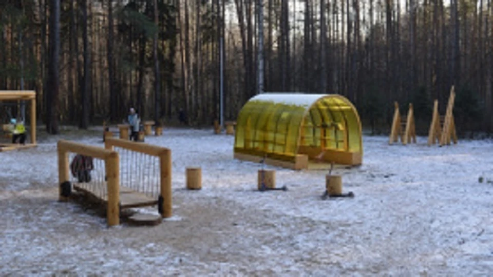 В городских лесах установлены домики для книг.