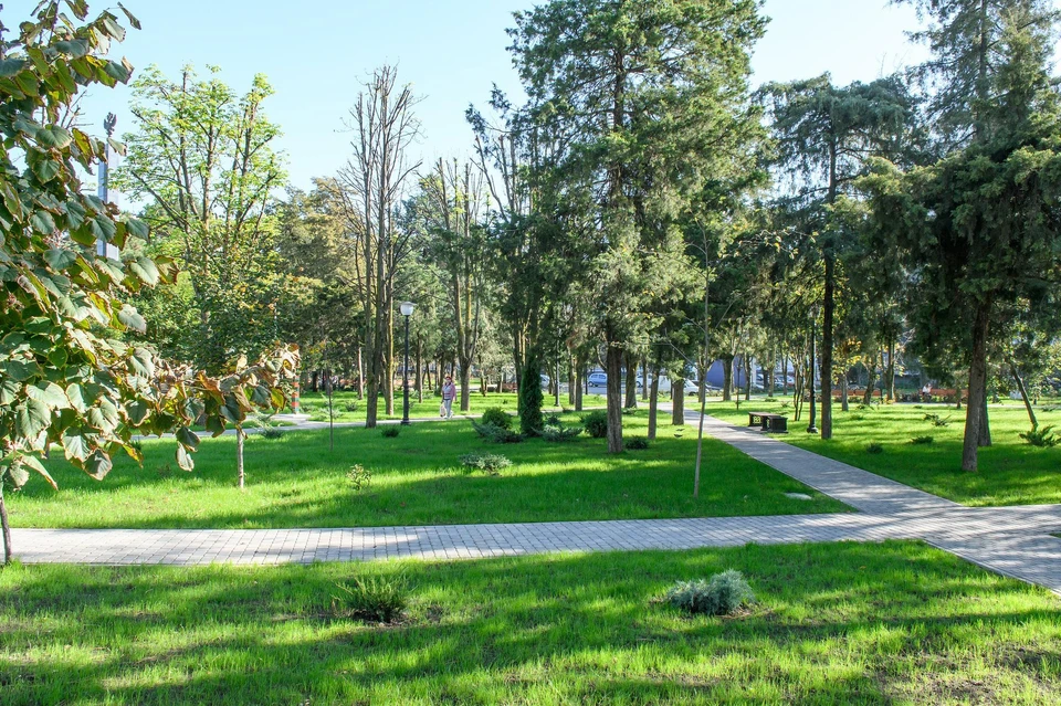 Парки Краснодара приведут в порядок к потеплению Фото: krd.ru