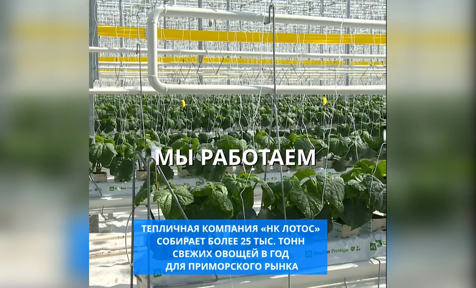 Ведущие предприятия подключились к акции. Фото: принтскрин видео