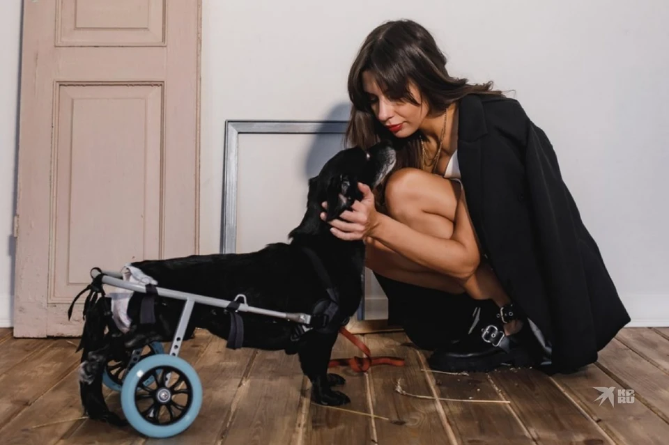 Лена уверена, что жизнь с собакой-инвалидом - это не приговор. Фото: из архива Лены Солодовниковой