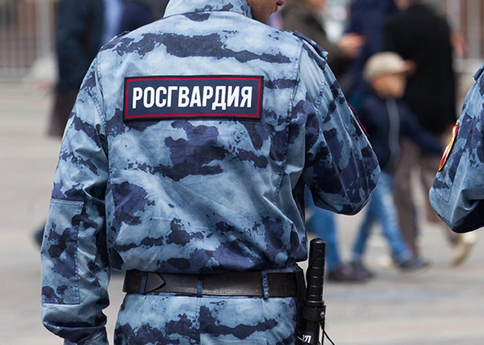 Росгвардейцы задержали двух воров в Туле и Донском