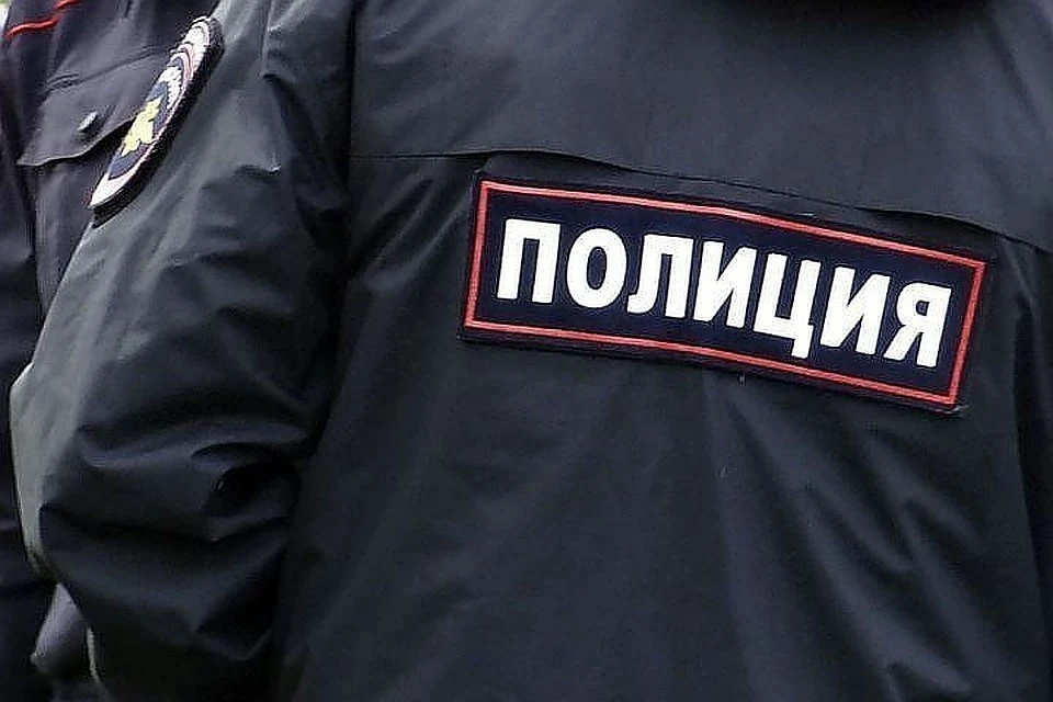Подозреваемых задержала полиция Фото: архив "КП"