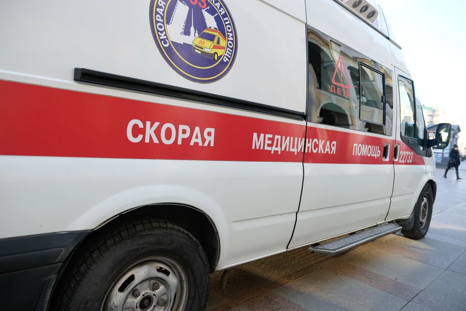 Собака искусала ребенка в Ленобласти.