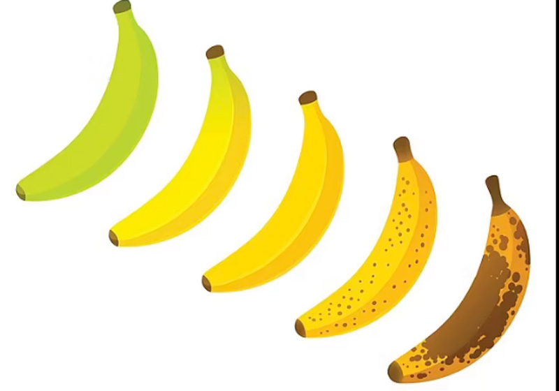 Banány jakékoliv barvy obsahují prospěšné látky. Foto: dailymail.co.uk