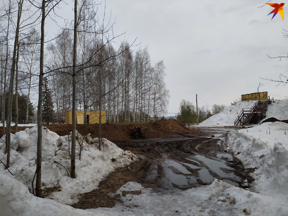 В парке Кирова появится искусственное озеро со свадебной беседкой. Фото: Оксана Мымрина