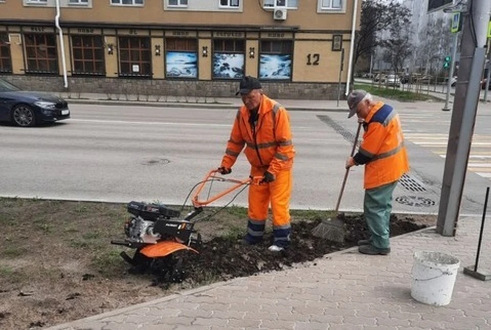 Уже к маю центр города будет радовать жителей Белгорода приятной зеленью.