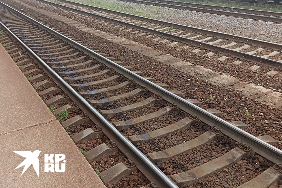 Мужчину насмерть сбил поезд в Тверской области