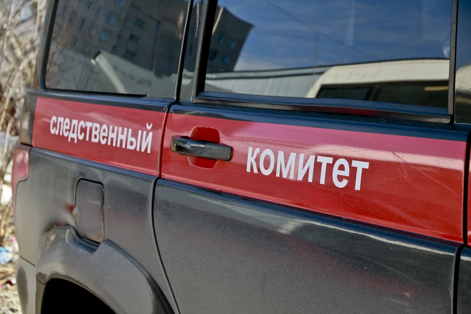 В настоящий момент рецидивистка заключена под стражу