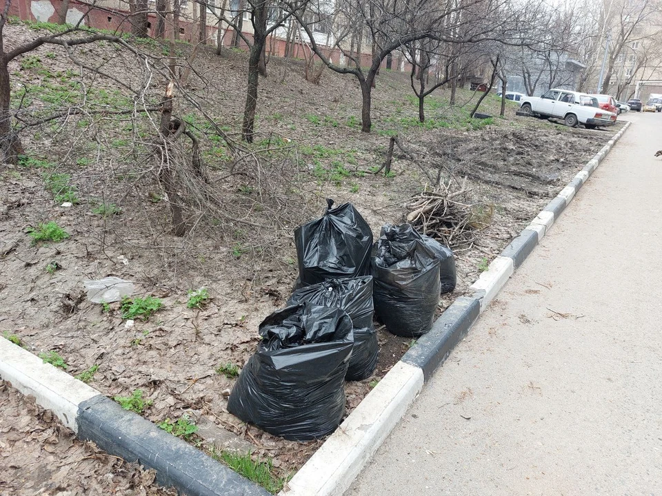 Саратовцы взялись за уборку