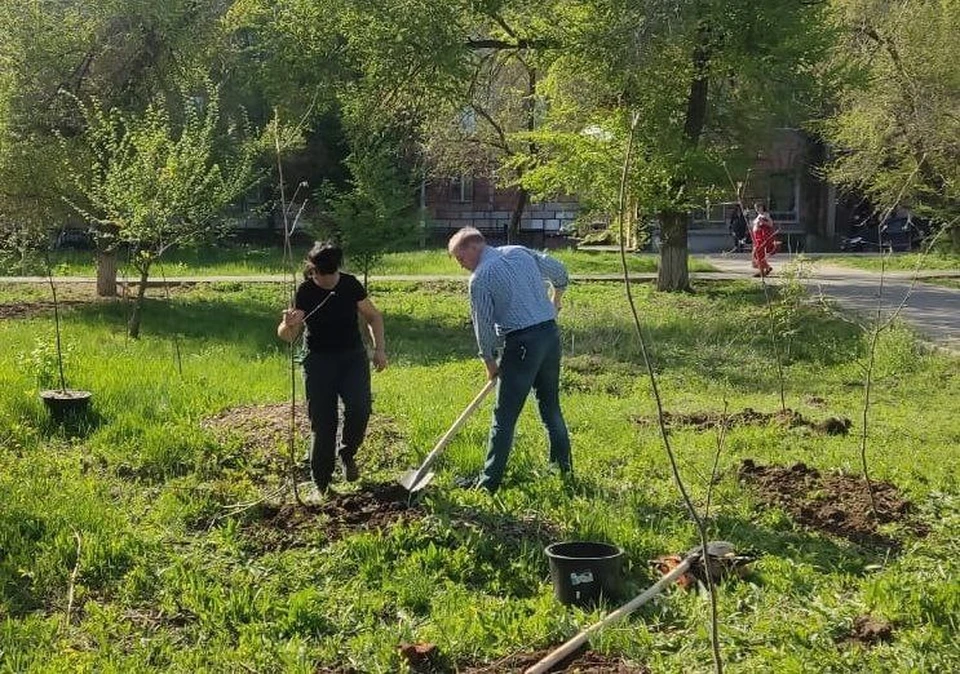 Деревья сажали и коммунальщики и чиновники, и сотрудники предприятий района. Фото: мэрия