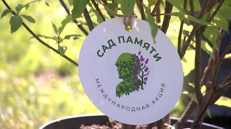 Правобережье озеленят новыми саженцами.