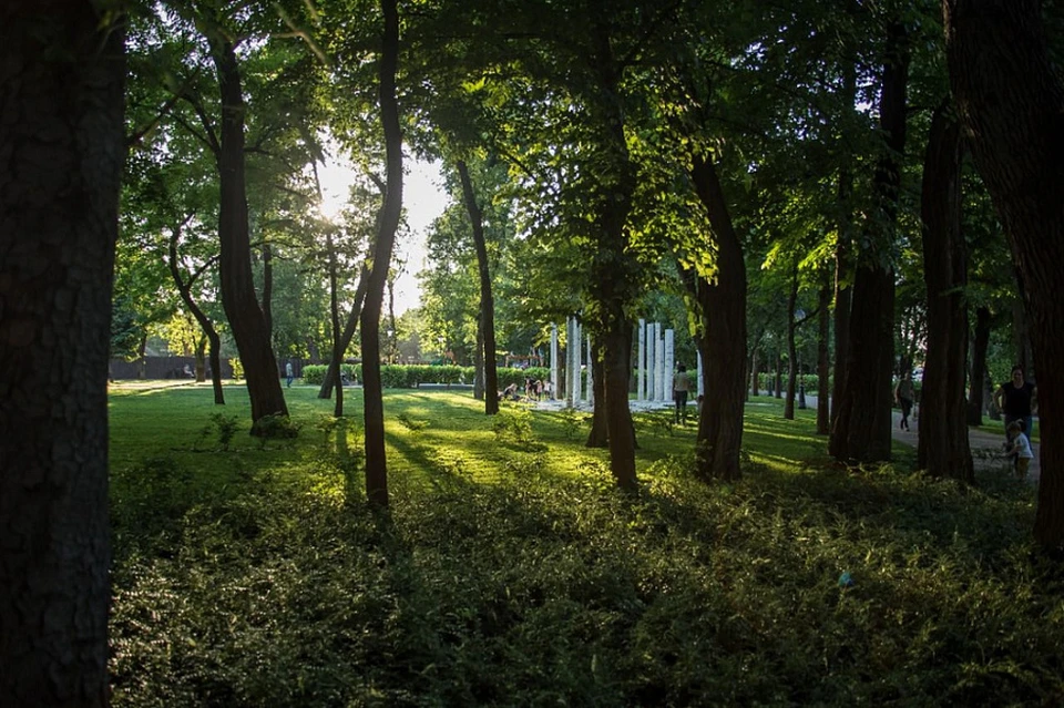 Фото: admkrai.krasnodar.ru