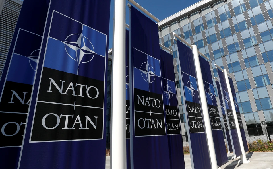 Партия зеленых призывает Великобританию покинуть НАТО после стабилизации ситуации на Украине