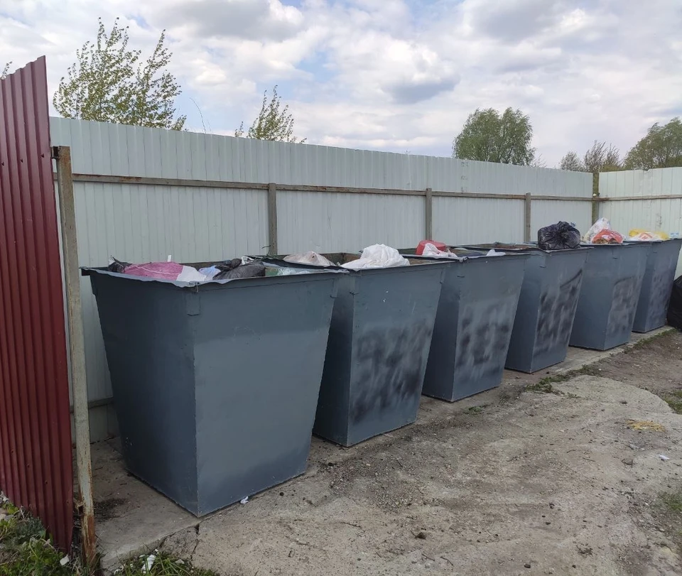 Так сейчас выглядят неожиданно ставшие известными за пределами Новоусманского района мусорные контейнеры.