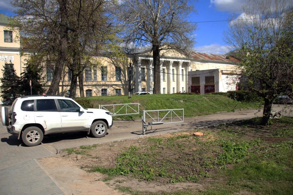 В центре города спилили редкую для Рязани рябину. Фото: Деревья и кустарники Рязани.