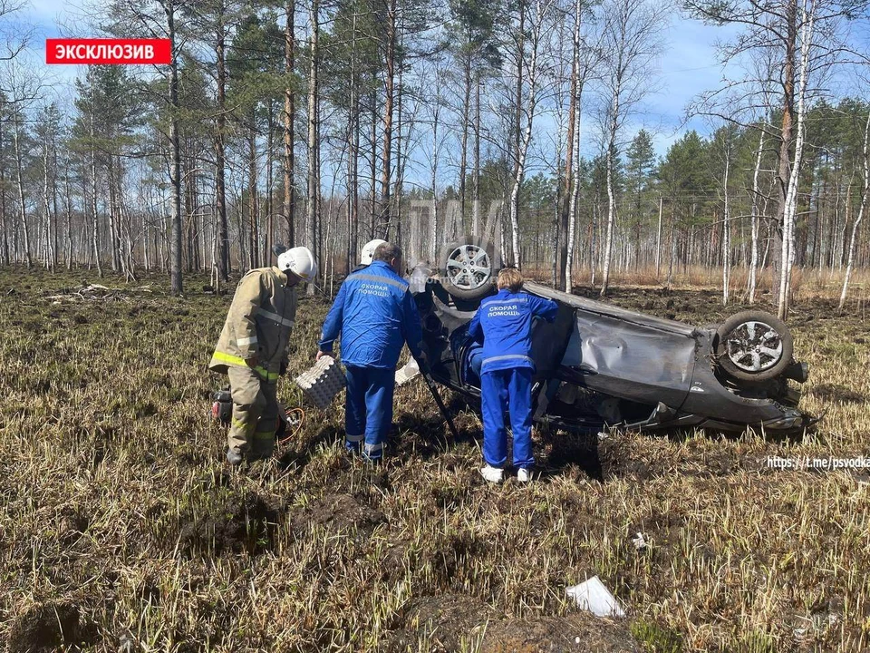 Фото: «ПАИ псковская сводка»