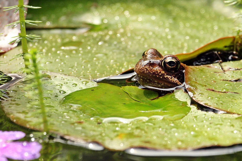 Какая погода ожидает ижевчан в среду. Фото: pixabay.com