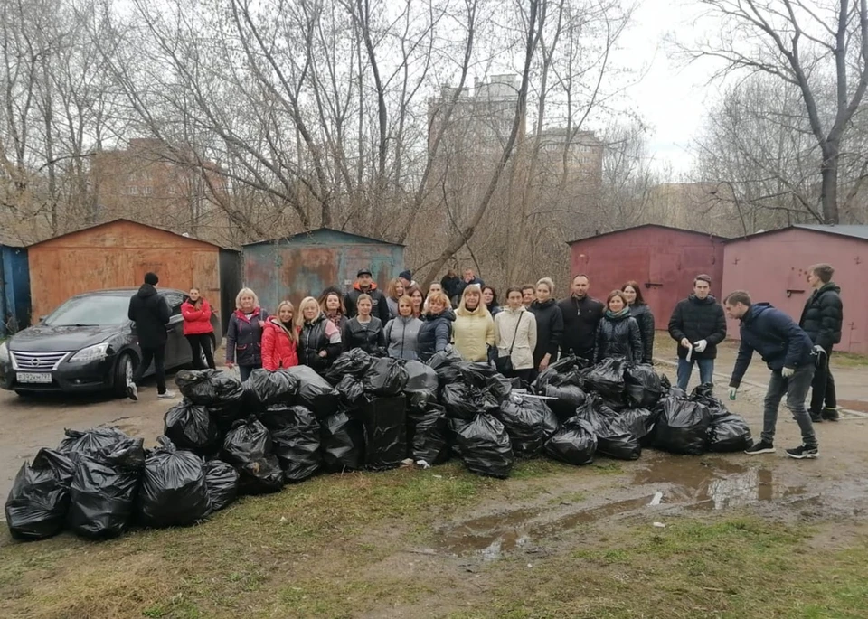 Ликвидировано 305 стихийных свалок, посажено 168 деревьев.