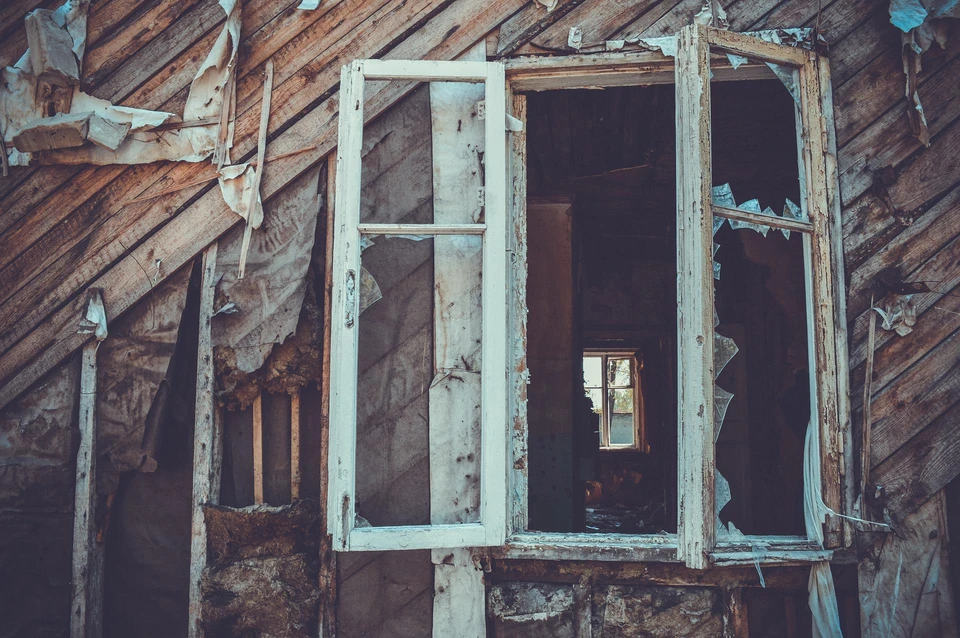 Фото: https://pixabay.com